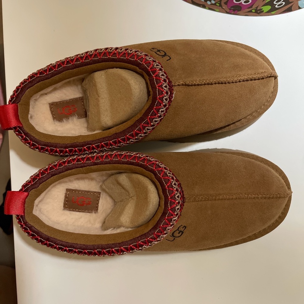 Uggs tasman platform